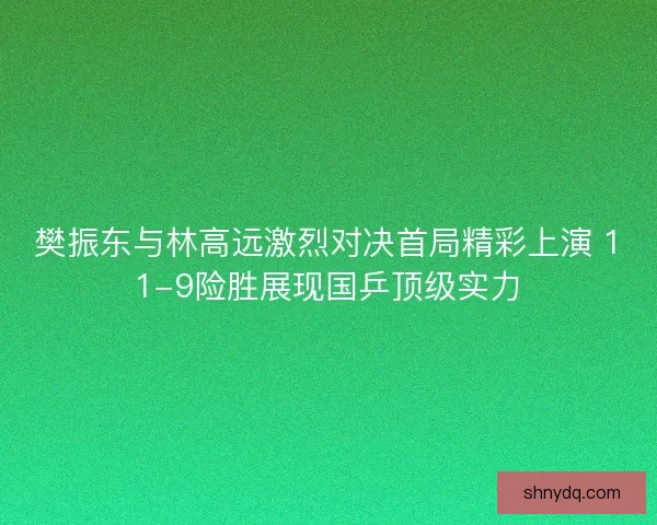樊振东与林高远激烈对决首局精彩上演 11-9险胜展现国乒顶级实力